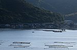 514A0053_1
