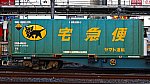 DSC_8060_4653