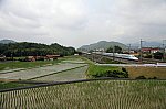 IMG_1610_1