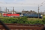 IMG_3587tri