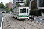 IMG_4981_1