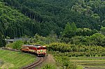 /blog-imgs-162.fc2.com/f/c/2/fc2user244741rsd/DSR_4012-p.jpg