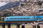 10_20250517213848ccd.jpg