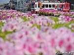 /blogimg.goo.ne.jp/user_image/4c/7b/095d5454f3b1e07fa902458c15b6dc5d.jpg