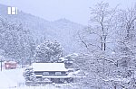 DSCF6595.jpg