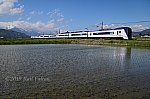 DSC_7904__001.jpg