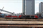 IMG_8555_2025051920073384b.jpg
