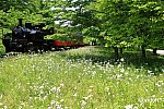 /i0.wp.com/railrailrail.xyz/wp-content/uploads/2025/05/IMG_7250_2025_05_05-2.jpg?resize=800%2C534&ssl=1