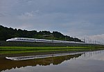 DSC_8188