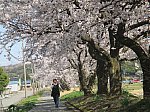 /stat.ameba.jp/user_images/20250514/10/akiroom2/bc/60/j/o0800060015594152791.jpg