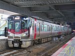 b-P1014061.jpg