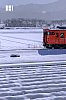 DSCF6603.jpg