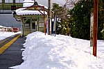 DSCF6736.jpg