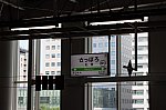 IMG_1354_20250607181319a37.jpg