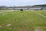 東急東横線　東京メトロ 17000系