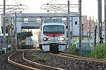 7D2_3743.jpg