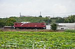 /stat.ameba.jp/user_images/20250613/21/rambaral529/af/60/j/o0903060015616204101.jpg