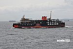 20250614-DSC_1894