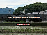 【JR九】小倉～博多間「特急ピクミン号」臨時運行