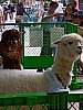 /blogimg.goo.ne.jp/user_image/35/1a/0db88d221e852c372a78d0073ab3b5d1.jpg?1749999170