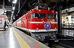 EF8195　201809