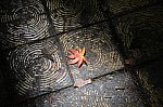 /cdn-ak.f.st-hatena.com/images/fotolife/j/jengotare723/20250617/20250617083328.jpg