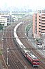 IMG_9205-b.jpg