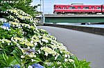 /blog-imgs-163.fc2.com/m/a/m/mametsubukishapoppo/2025061608071712b.jpg