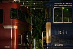20250603_6255.jpg