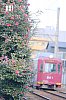 DSCF4788.jpg