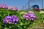 /blogimg.goo.ne.jp/user_image/62/94/3e71cee130d300d7896f49316f6b04bc.jpg