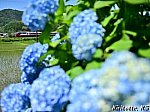 /blogimg.goo.ne.jp/user_image/5a/29/592049fc520ab175339c3282a545d058.jpg