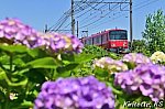 /blogimg.goo.ne.jp/user_image/0d/f3/e385206fdabc0c80735668b33b0a2db8.jpg