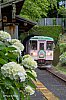/stat.ameba.jp/user_images/20250617/20/iiwakunsl/fb/09/j/o0413062015618705022.jpg