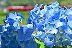 /blogimg.goo.ne.jp/user_image/4b/34/e267118e4494c602964b0ff1e59e435b.jpg