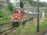 CIMG5193d.jpg