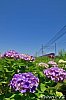 /blogimg.goo.ne.jp/user_image/70/d6/57c15808a39dc54b304b2728f8b16f04.jpg