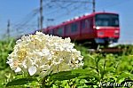 /blogimg.goo.ne.jp/user_image/79/e0/685f0d42ea1deccd1f14526a603033f8.jpg