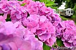 /blogimg.goo.ne.jp/user_image/03/f7/133f5263b5cf472cde54e4664a03963a.jpg