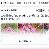 /stat.ameba.jp/user_images/20250617/03/iiwakunsl/d1/88/j/o1080108015618285233.jpg