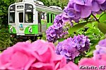/blogimg.goo.ne.jp/user_image/6f/04/284e096b7721b6b2e0d3d7f8a84683be.jpg