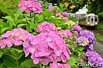 /blogimg.goo.ne.jp/user_image/5a/ff/beaf63174bb1d558fd0cbb5b75e1bd6a.jpg
