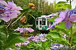 /blogimg.goo.ne.jp/user_image/01/c0/78f4bf3f29a05ce90dbad9a6d56d05e6.jpg