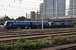 IMG_4481tri