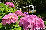 /blogimg.goo.ne.jp/user_image/76/72/6ad06fb9a322b386c414ceef1d2ca9ca.jpg