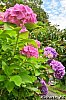 /blogimg.goo.ne.jp/user_image/6f/d6/df7a4c37567eb4691897ca0a09a63ac5.jpg