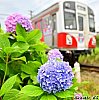 /blogimg.goo.ne.jp/user_image/74/57/fe4e13d910718c6e93e74ffffa5c76df.jpg