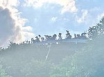 /stat.ameba.jp/user_images/20250705/23/buhi5861buhi/0f/60/j/o1080080915629181318.jpg