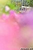 /blogimg.goo.ne.jp/user_image/43/43/00a2166d8d8c9ac2929593ec46da4f2a.jpg