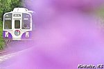 /blogimg.goo.ne.jp/user_image/2e/09/4305c6660935e4da1f5c8badac60f498.jpg